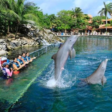Increible Estudio En Puerto Aventuras, Condominio Con Alberca # 201 מראה חיצוני תמונה