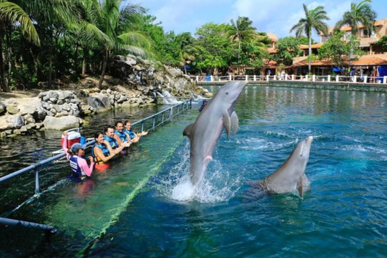 Increible Estudio En Puerto Aventuras, Condominio Con Alberca # 201 מראה חיצוני תמונה